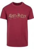 harry-potter-logo-burgundy-material-dominujacy-bawelna
