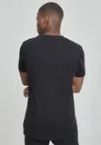 nasa-worm-black-stan-nowy