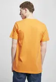 space-jam-tune-squad-logo-orange-stan-nowy