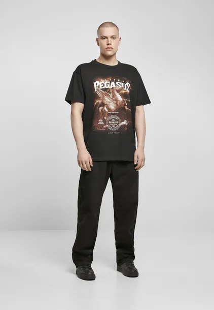 pegasus-oversize-black-kolor-inny-kolor