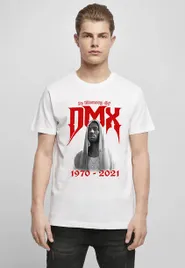 dmx-memory-white