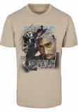 tupac-retro-sand-material-dominujacy-bawelna