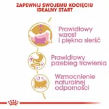 royal-251890-persian-kitten-2kg-karmy-specjalne-nie-dotyczy