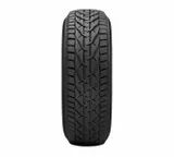 tigar-winter-195-60r15-88t