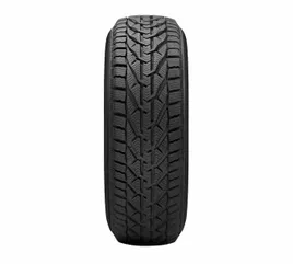tigar-winter-195-60r15-88t