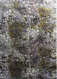 dywan-zara-9655-multicolor-200x290
