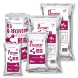 bb-and-recovery-balance