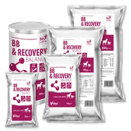 bb-and-recovery-balance