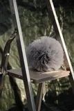 pompon-tiulowy-xxl-plec-brak-informacji