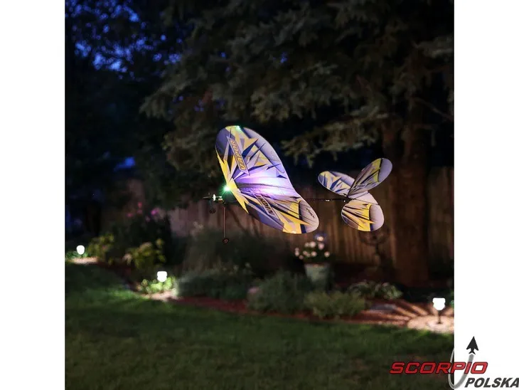 e-flite-umx-night-vapor-bnf-basic-stan-zlozenia-zlozony-stan-nowy