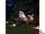 e-flite-umx-night-vapor-bnf-basic-stan-zlozenia-zlozony-stan-nowy