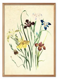 obraz-plakat-na-plotnie-53x73cm
