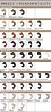 loreal-dia-light-dialight-farba-50-ml-cala-paleta-stan-nowy