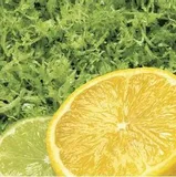 tarka-4-stronna-kod-produktu-0065506068503
