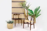 krzeslo-wishbone-ciemny-braz-marka-king-home-wysokosc-mebla-73-cm