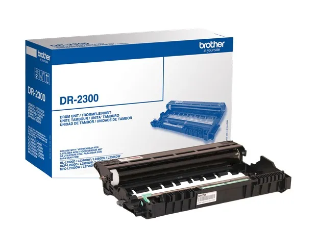 beben-brother-dr2300