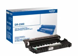 beben-brother-dr2300