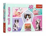 puzzle-200-kocie-figle-trefl
