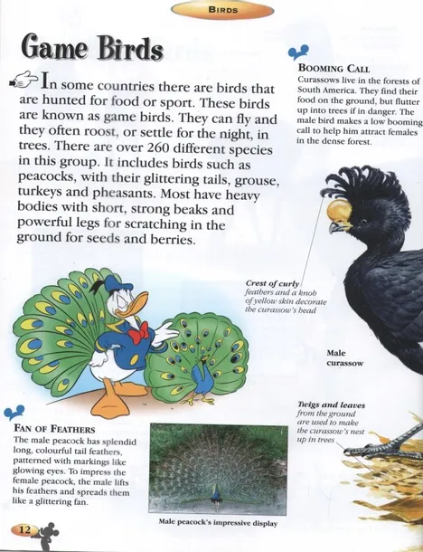 disney-birds-tytul-disney-birds
