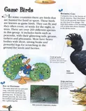 disney-birds-tytul-disney-birds