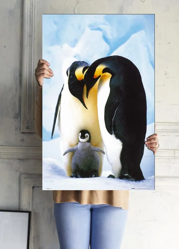pingwiny-plakat-61x915-cm-stan-nowy