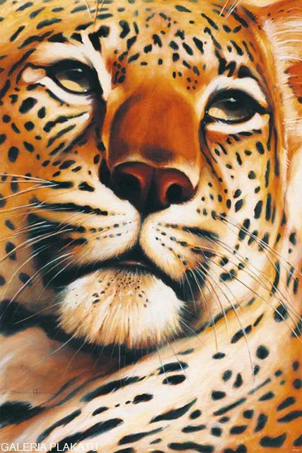 gepard-leopard-plakat-61x915-cm