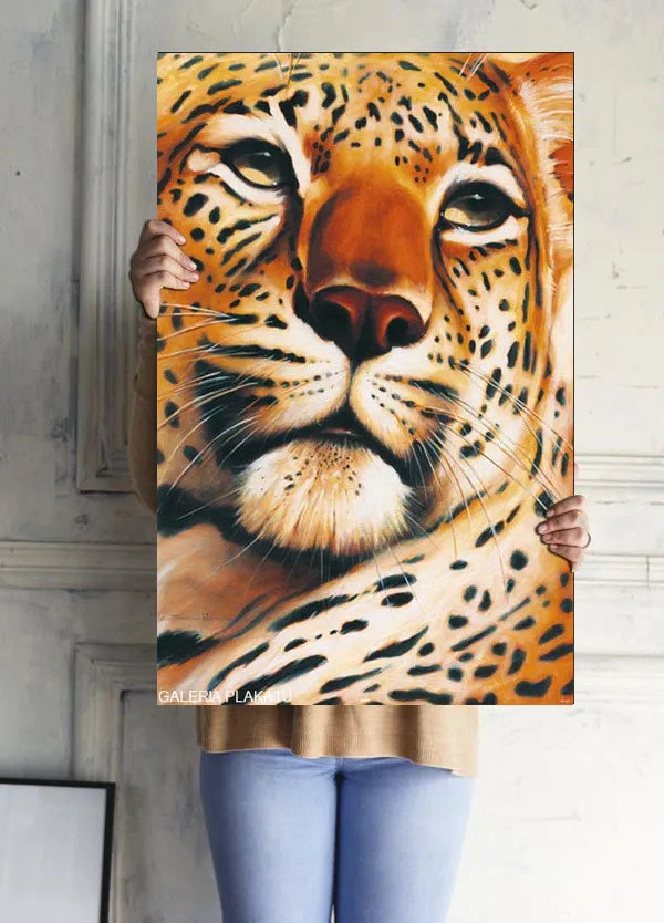 gepard-leopard-plakat-61x915-cm-stan-nowy