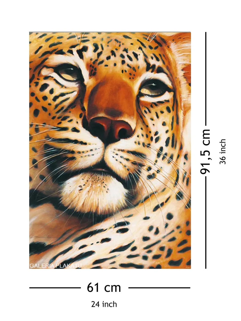gepard-leopard-plakat-61x915-cm-stan-nowy