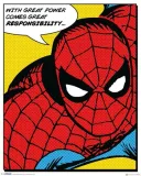 spiderman-retro-plakat-40x50-cm