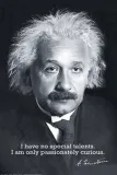albert-einstein-plakat-61x915-cm