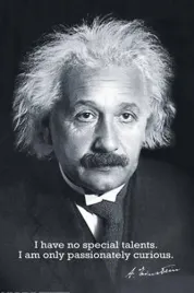 albert-einstein-plakat-61x915-cm