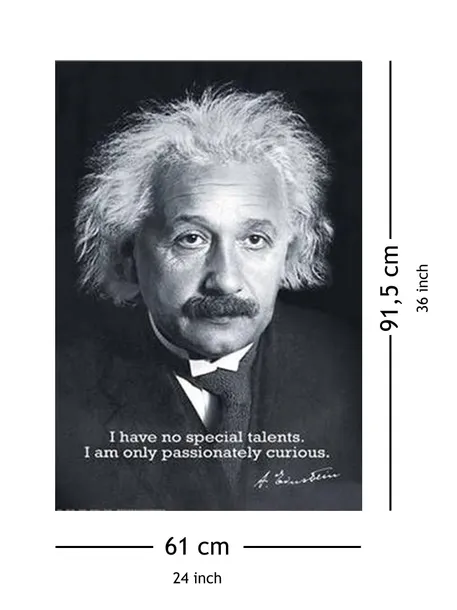 albert-einstein-plakat-61x915-cm-stan-nowy