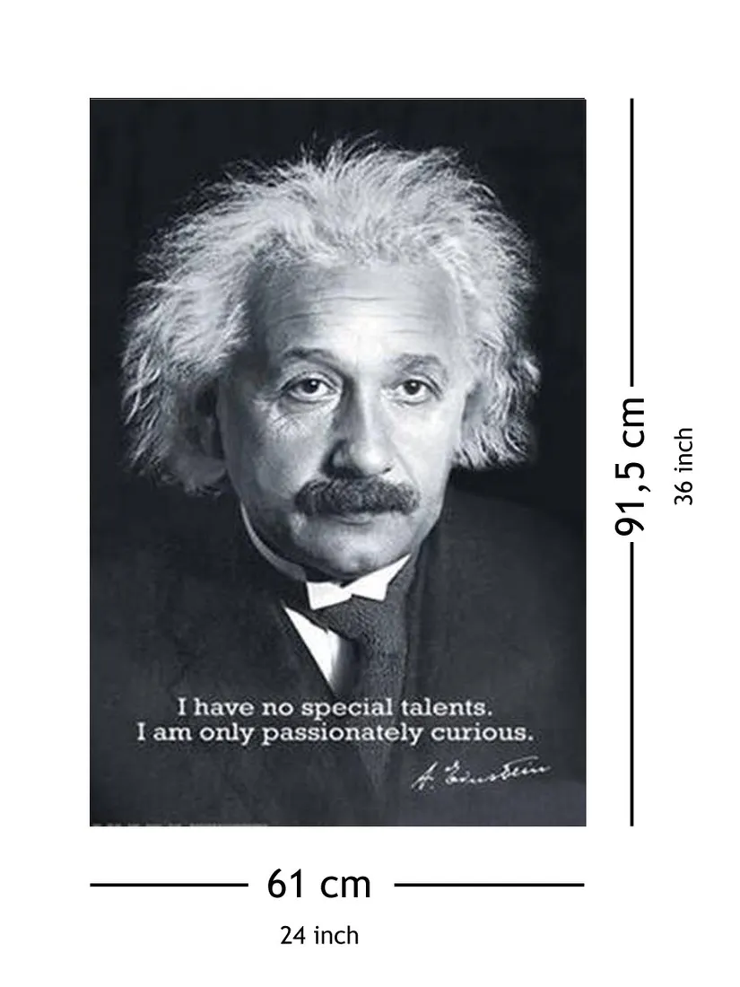 albert-einstein-plakat-61x915-cm-stan-nowy