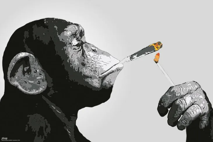 steez-monkey-joint-time-plakat-915x61-cm