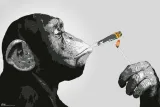 steez-monkey-joint-time-plakat-915x61-cm