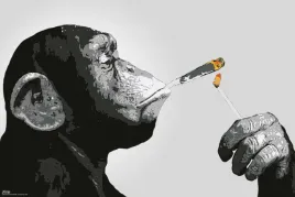 steez-monkey-joint-time-plakat-915x61-cm