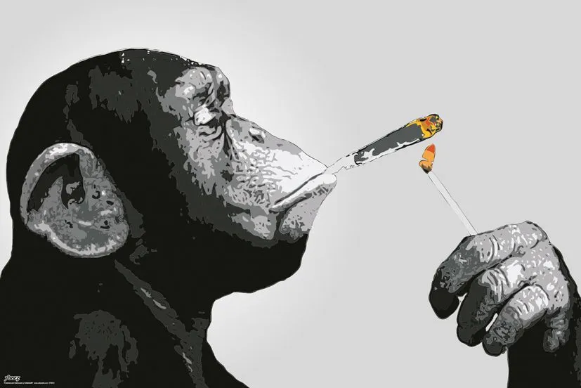 steez-monkey-joint-time-plakat-915x61-cm