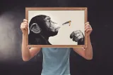 steez-monkey-joint-time-plakat-915x61-cm-stan-nowy