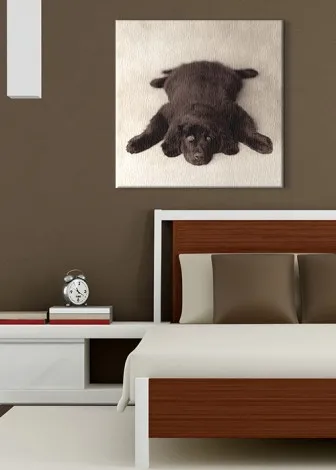 oscar-obraz-na-plotnie-40x40-cm-stan-nowy