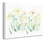 marguerite-daisy-obraz-na-plotnie-40x30-cm