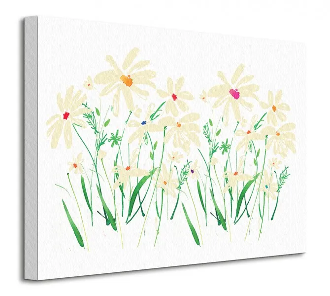 marguerite-daisy-obraz-na-plotnie-40x30-cm