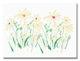 marguerite-daisy-obraz-na-plotnie-40x30-cm-stan-nowy