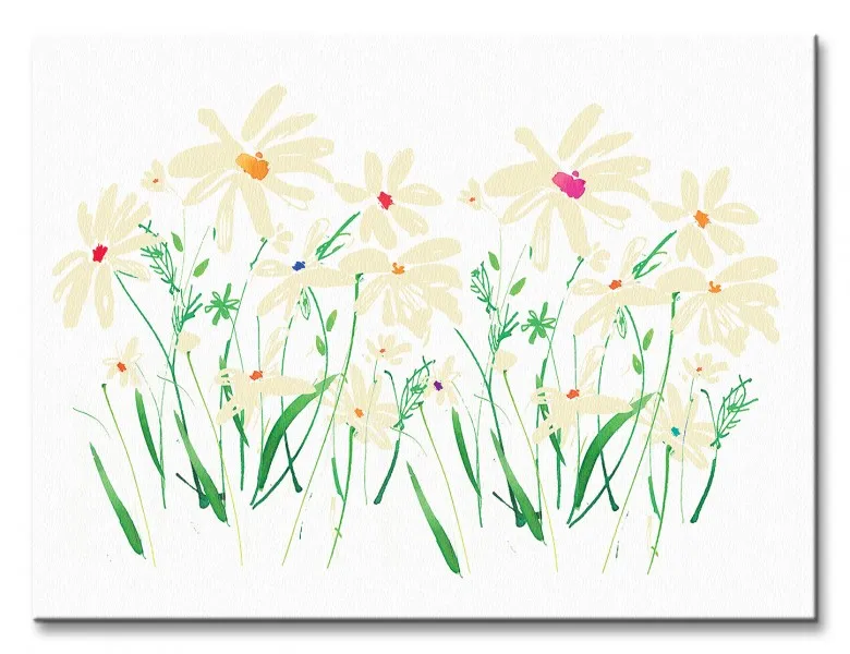 marguerite-daisy-obraz-na-plotnie-40x30-cm