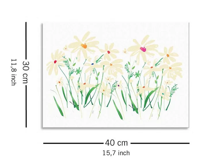 marguerite-daisy-obraz-na-plotnie-40x30-cm-stan-nowy