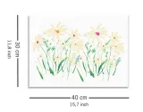 marguerite-daisy-obraz-na-plotnie-40x30-cm-stan-nowy