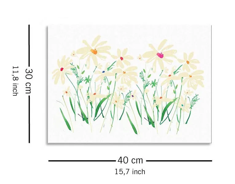 marguerite-daisy-obraz-na-plotnie-40x30-cm