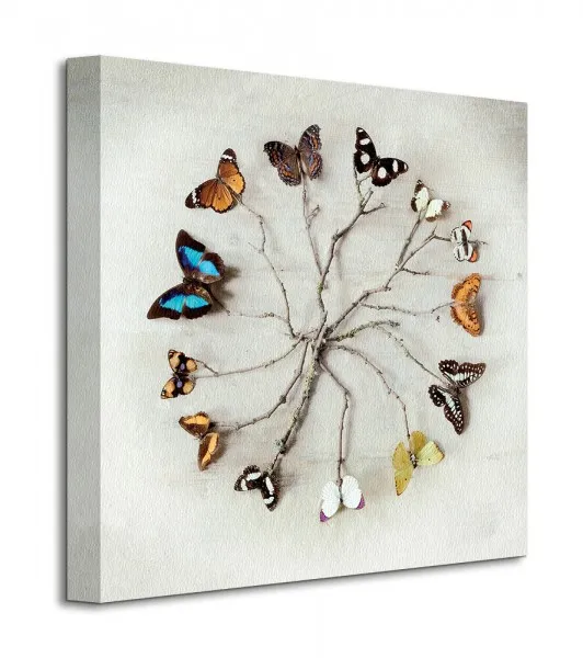 butterfly-harmony-motyle-obraz-na-plotnie-40x40-cm