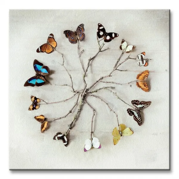 butterfly-harmony-motyle-obraz-na-plotnie-40x40-cm