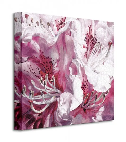 froth-and-flounce-obraz-na-plotnie-40x40-cm-stan-nowy