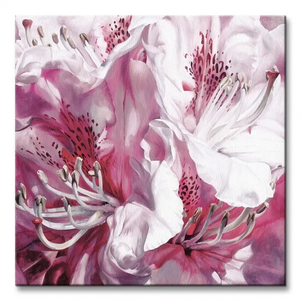 froth-and-flounce-obraz-na-plotnie-40x40-cm